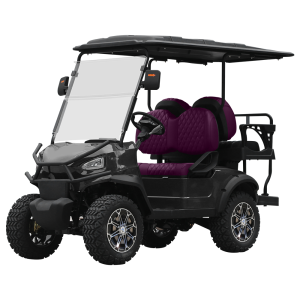 Custom New Design 4 Seaters Solar Powered 72v Mini Electric Golf Carts Electric 6 Seater For Sale (13)