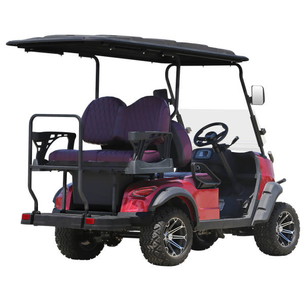 Custom New Design 4 Seaters Solar Powered 72v Mini Electric Golf Carts Electric 6 Seater For Sale (15)